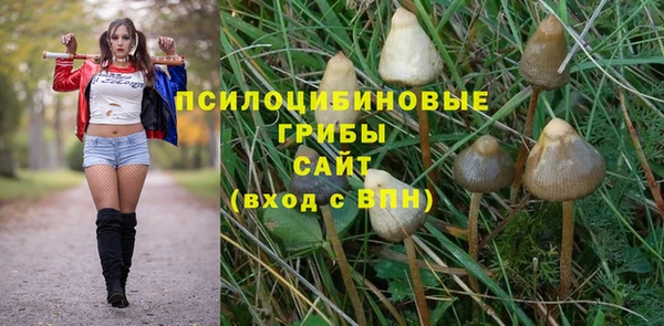 кокс Липки