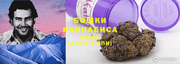трава Лабытнанги