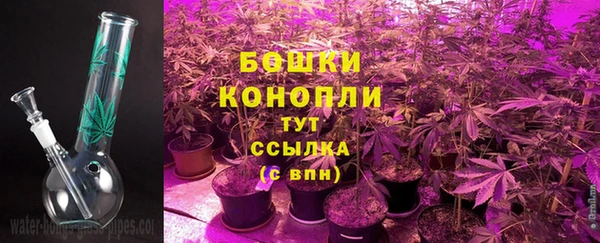 спайс Мегион