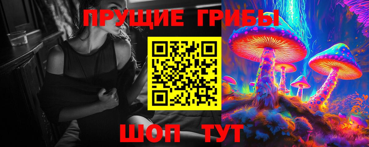 Урай  цены   Вход с VPN  Галлюциногенные грибы GOLDEN TEACHER 