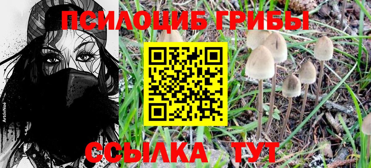 Псилоцибиновые грибы MAGIC MUSHROOMS  Галлюциногенные грибы Magic Shrooms  Урай 