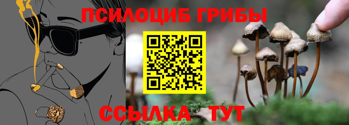 Галлюциногенные грибы ЛСД Урай
